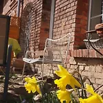 アパート Neu Im Mit Idyllischem Innenhof Und Naturgarten