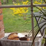 Neu Im Mit Idyllischem Innenhof Und Naturgarten アパート