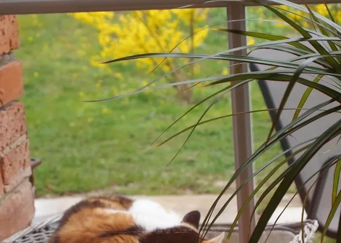 Neu Im Mit Idyllischem Innenhof Und Naturgarten Appartement